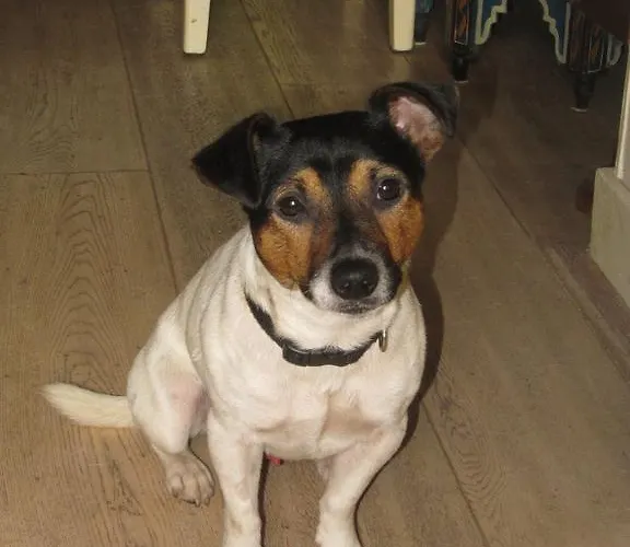 Bed & Breakfast Eugenie